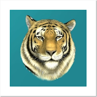 Tiger, symbol of the year. Posters and Art